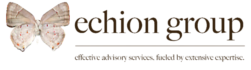 Echion Group logo
