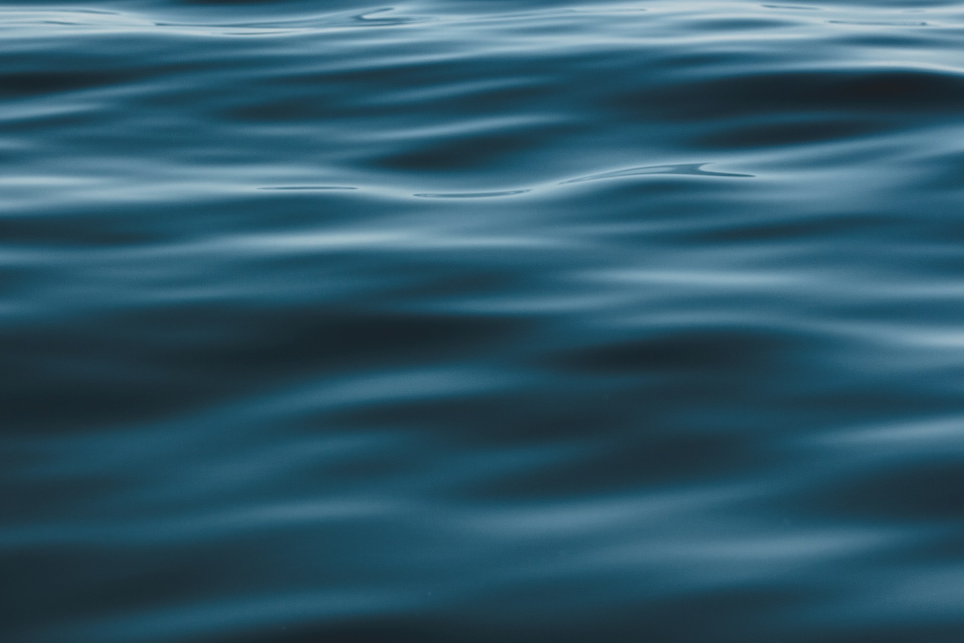 Water surface displaying gentle ripples and waves, reflecting light and creating a serene aquatic scene.